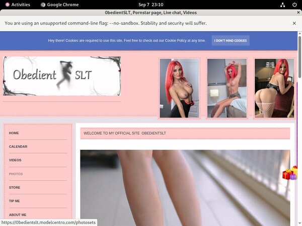 0bedientSLT Epoch Discount