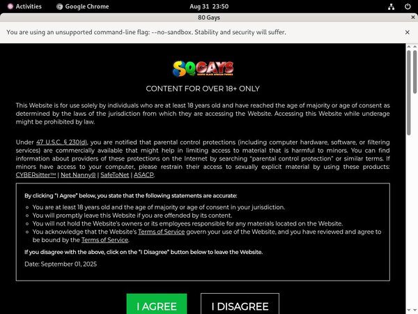 80gays.com Male Pornstars