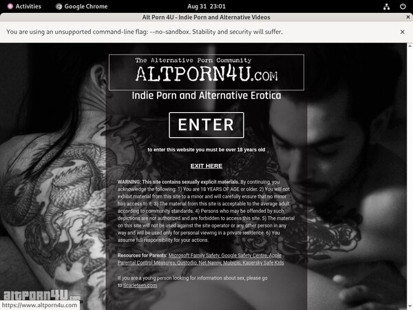 Altporn4u New Accounts