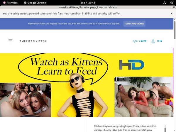 Americankittens Photo Americankittens Photo