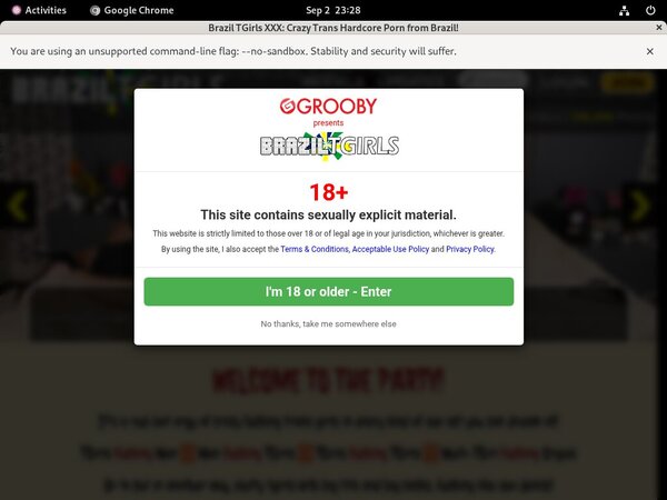 Big Brazil TGirls XXX Big Brazil TGirls XXX