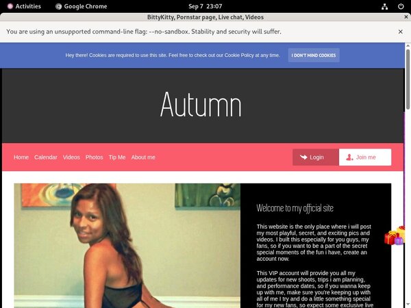 Bittykitty.modelcentro.com Login Codes