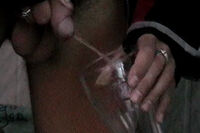 Boys Pissing Free Trial Signup s3