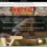 Brutalcatfight Com Paypal Brutalcatfight Com Paypal