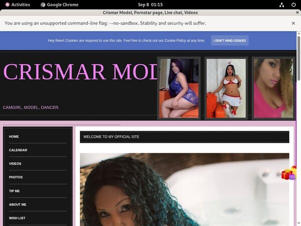 Crismar Model Log In