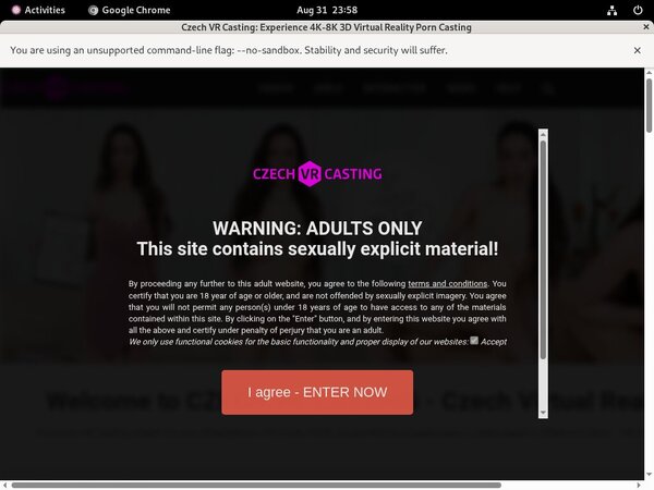 Czechvrcasting Porn Stars