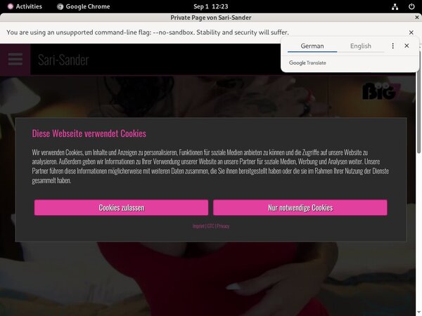 Discount Sari Sander Promotion