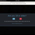 Free Accounts On Girls In Steel