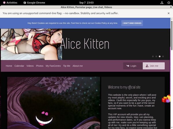 Free AliceKitten Accs
