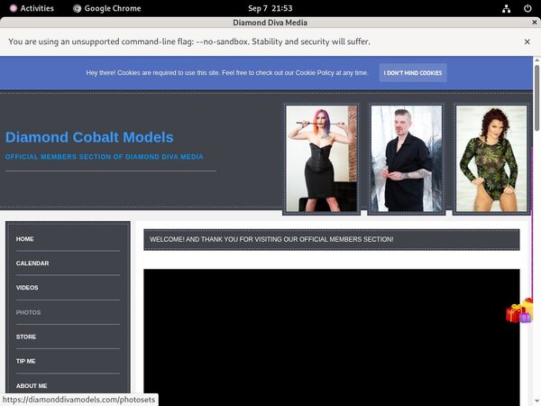 Free Diamonddivamodels.com Login And Pass Free Diamonddivamodels.com Login And Pass