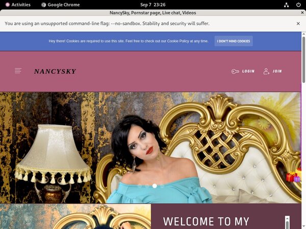 Free NancySky Password Account
