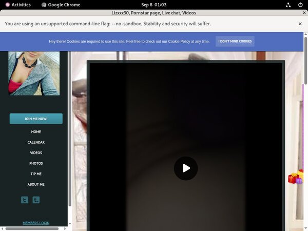 Free Passwords Lizxxx30