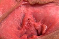 Gape My Pussy Alternate Payment s0 Gape My Pussy Alternate Payment s0