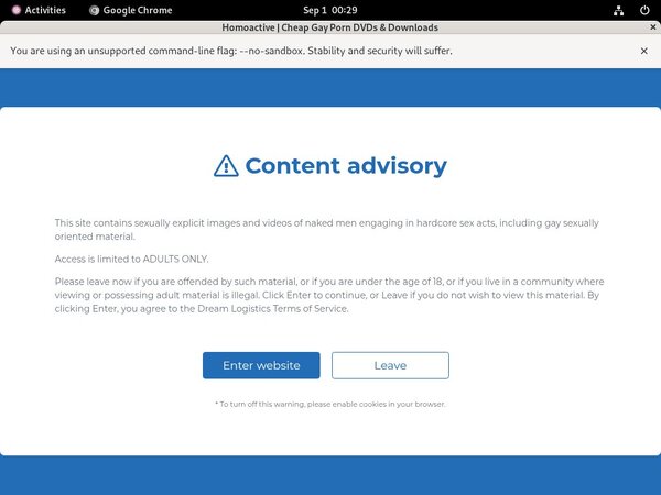 Homoactive.com Site Review