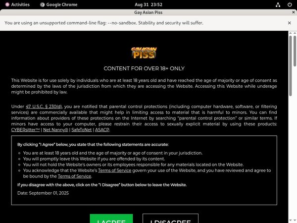 How To Access Gay Asian Piss How To Access Gay Asian Piss