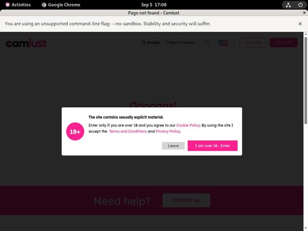 How To Get Free Camlust.com