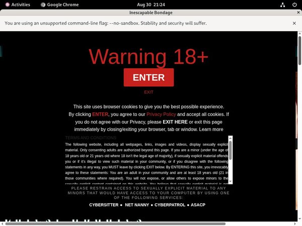 Inescapable Bondage Rocketpay