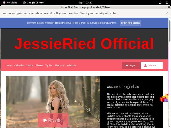 Jessieried.modelcentro.com Form Jessieried.modelcentro.com Form