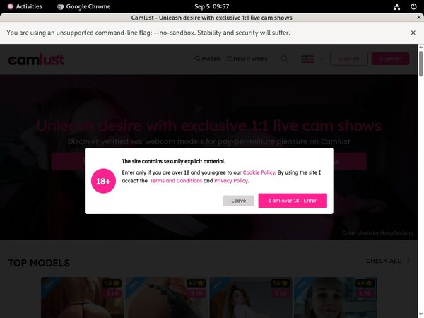 Joining Camlust Joining Camlust