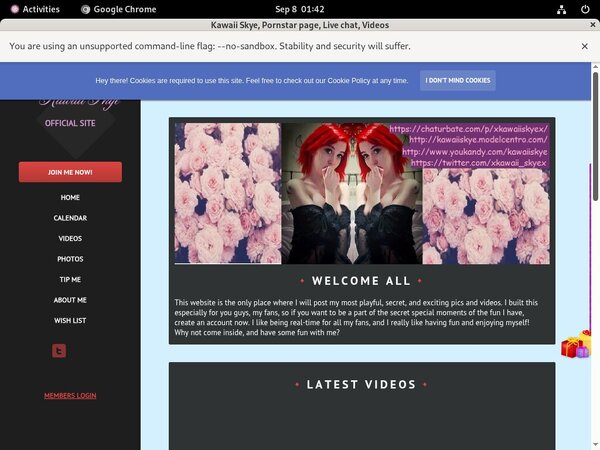 Kawaii Skye Account Login Kawaii Skye Account Login