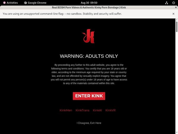 Kink.com One Year