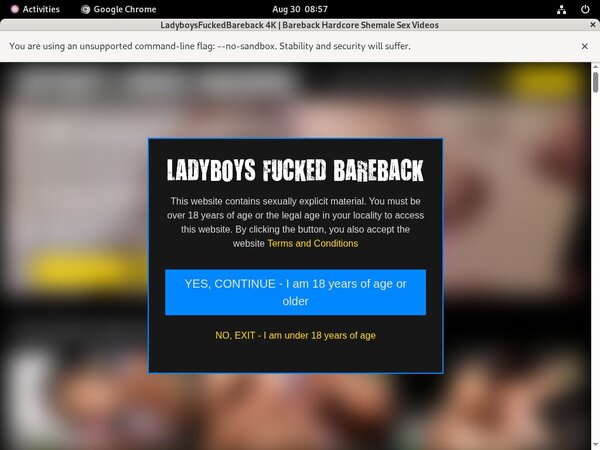 Ladyboysfuckedbareback.com Free Acc