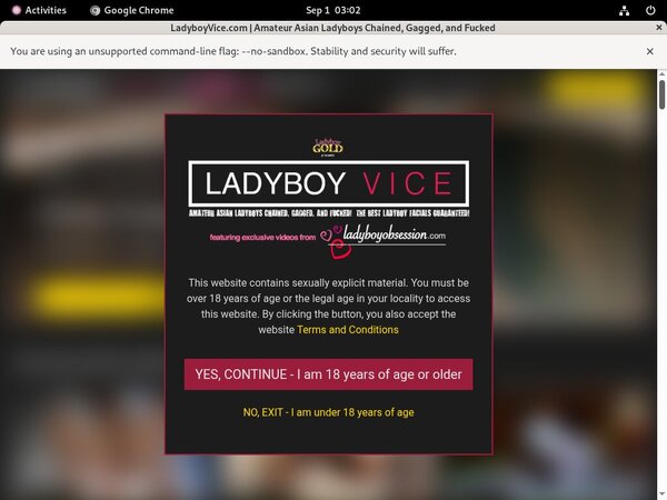 Ladyboyvice.com Discount Free Offer