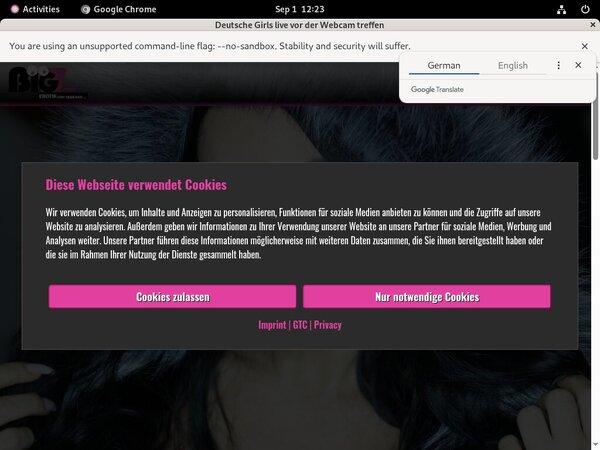 LanaGiselle Paypal Account