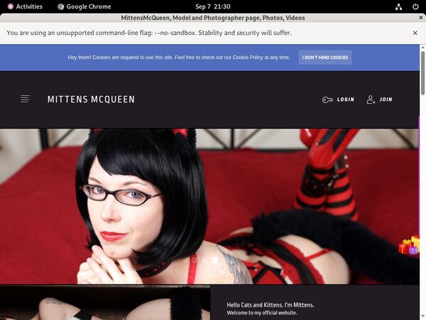 Mittensmcqueen.com Discount Checkout