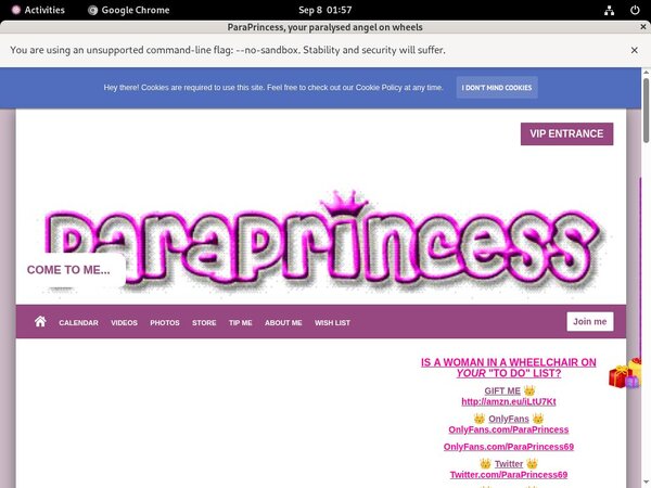 ParaPrincess Account Info