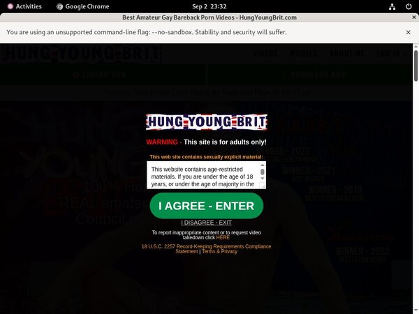 Premium Hungyoungbrit Accounts Free