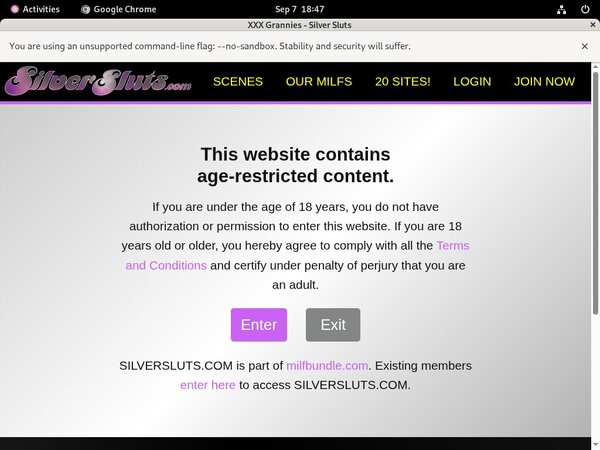 Silversluts.com Porn Passwords
