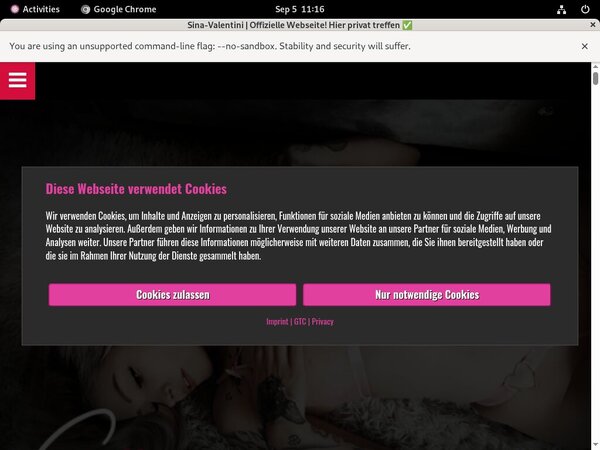 Sina-valentini.de Network Login