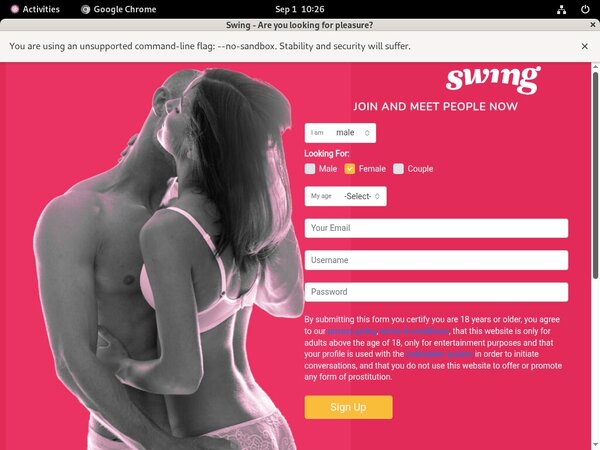 Swing Code Swing Code