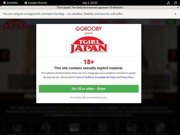 TGirl Japan Hacked Accounts