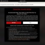 Treasureislandmedia.com ??