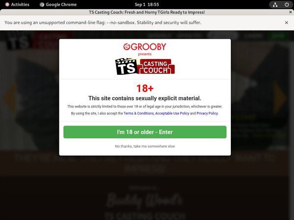 Ts-castingcouch.com Latest