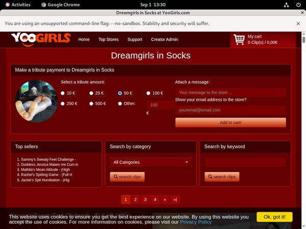 Dreamgirls In Socks Site Rip New