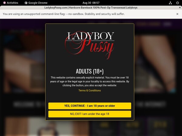 Ladyboypussy Discount Pass