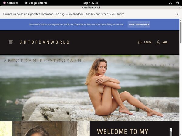Discount For Artofdan