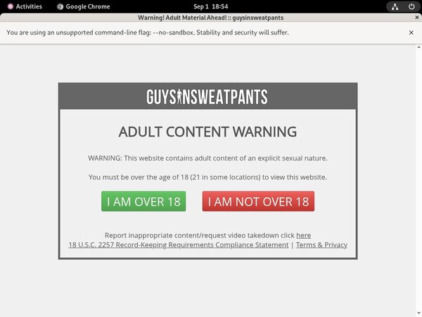 Guys In Sweatpants Netbilling