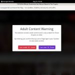 Toticos Account Passwords