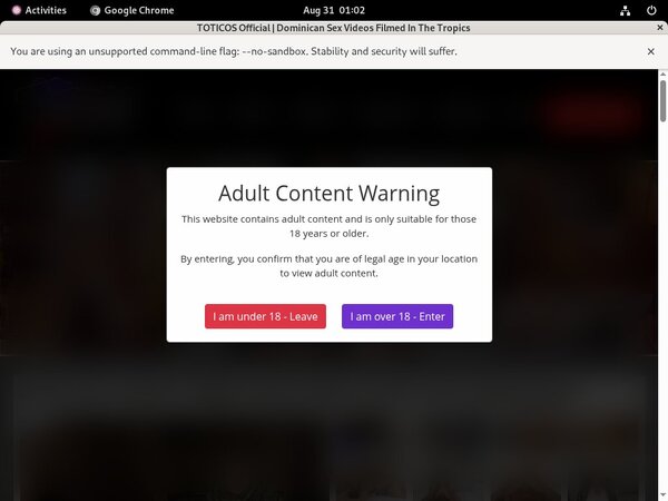 Toticos Account Passwords