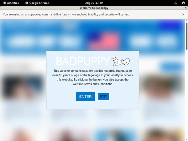 Badpuppy Free Trial Code